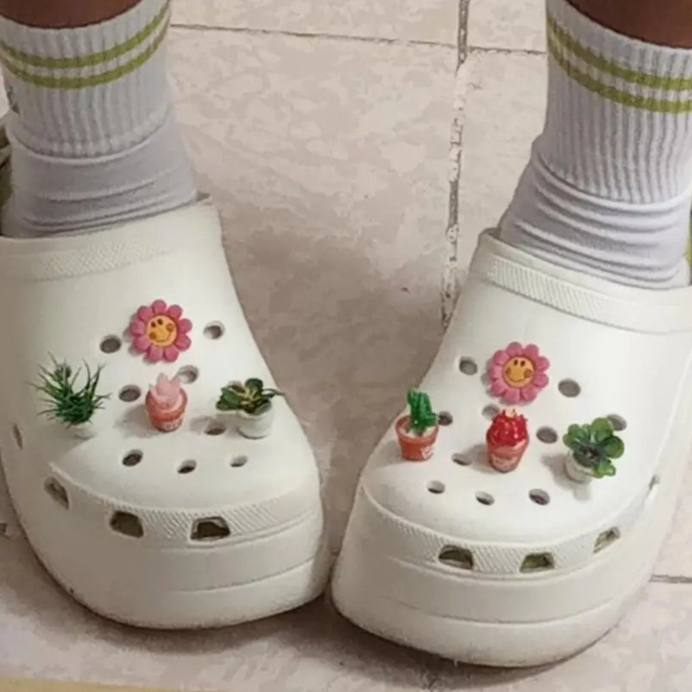 Succulent shoe charm garden houseplants mushroom cactus violet - Picture 11 of 12